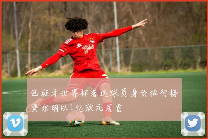 西班牙世界杯落选球员身价排行榜费尔明以1亿欧元居首